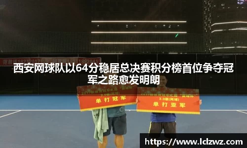 星空.综合体育官网