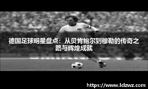 星空.综合体育官网